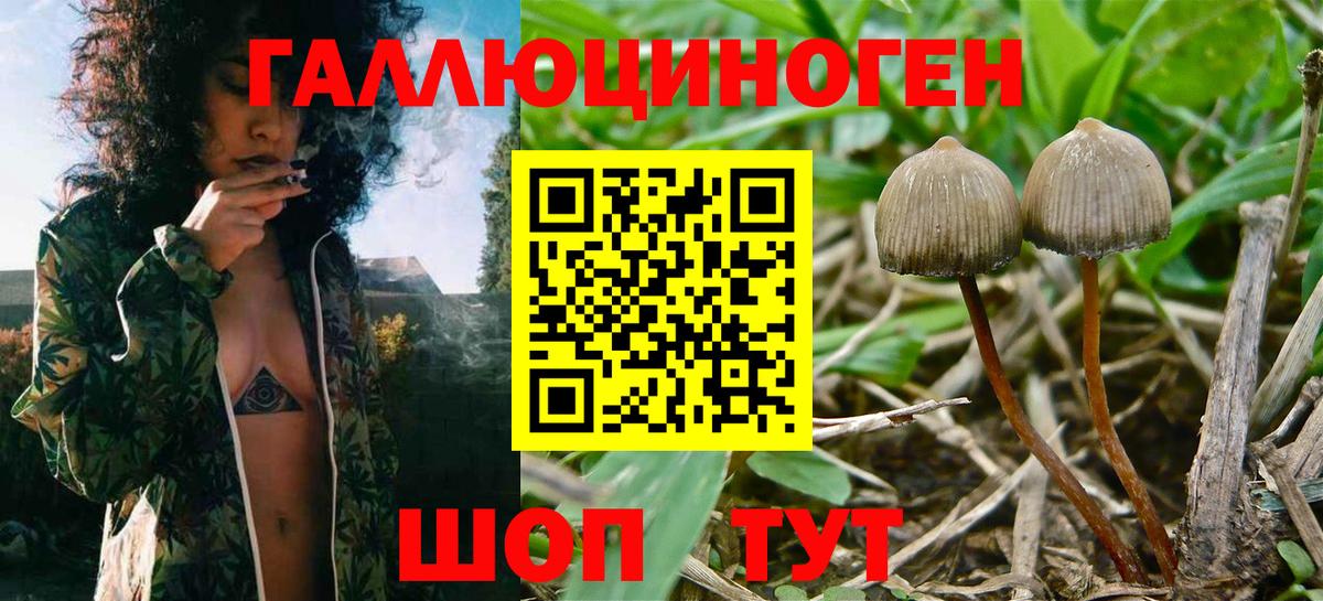 Псилоцибиновые грибы мицелий  Вход с VPN  Алушта 